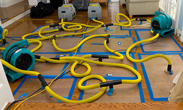 Professional Water Damage Repair technician working in Kim, CO